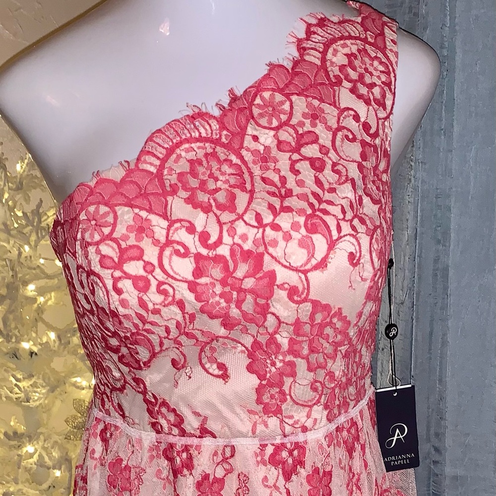 Adrianna Papell One Shoulder Lace Party Dress